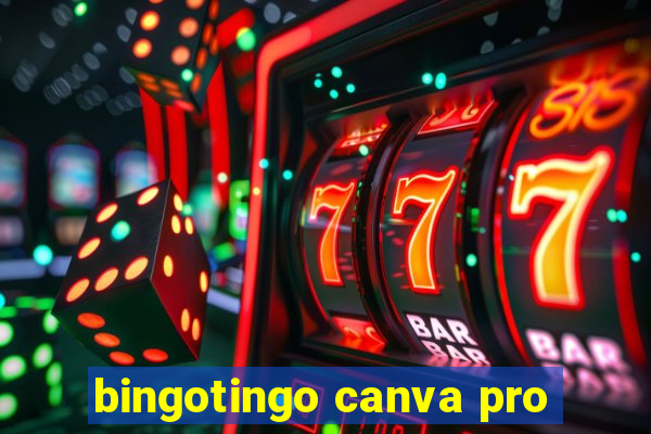 bingotingo canva pro